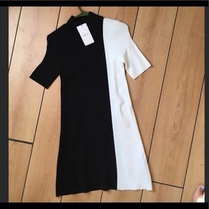 NWT Zara knit dress. Stretchy!